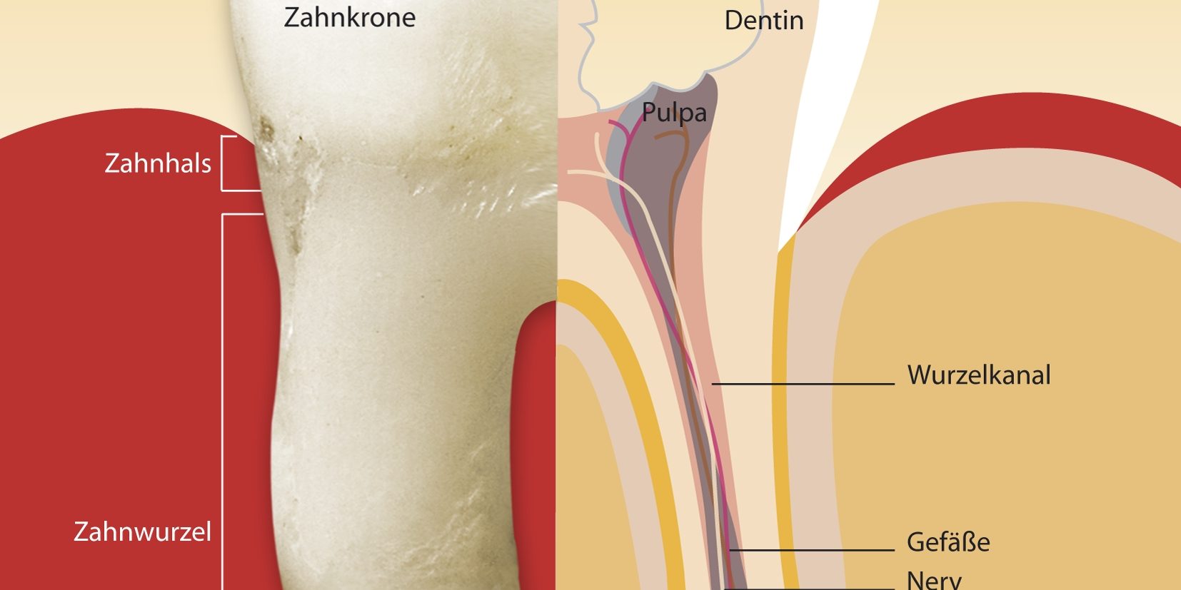 wurzelbehandlung in istanbul